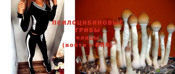 метамфетамин Богданович