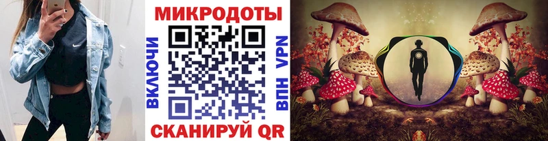 дарк нет какой сайт  Киселёвск  Галлюциногенные грибы MAGIC MUSHROOMS 